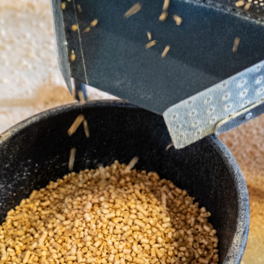 Färdiga pellets faller från Remet P-200 ner i uppsamlingshink