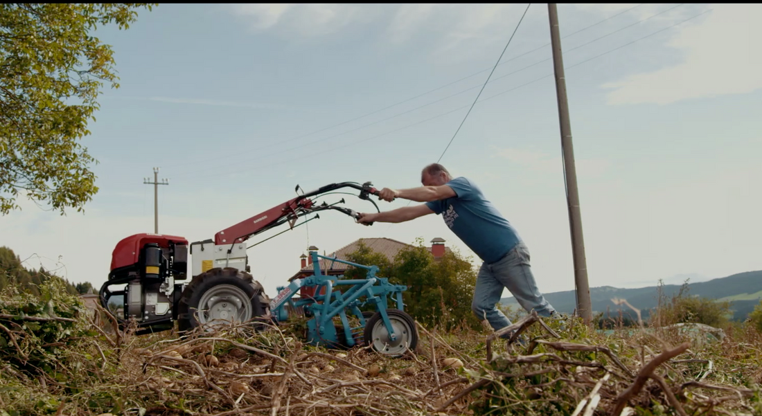 F.lli Spedo Potatisupptagare för Tvåhjulstraktor