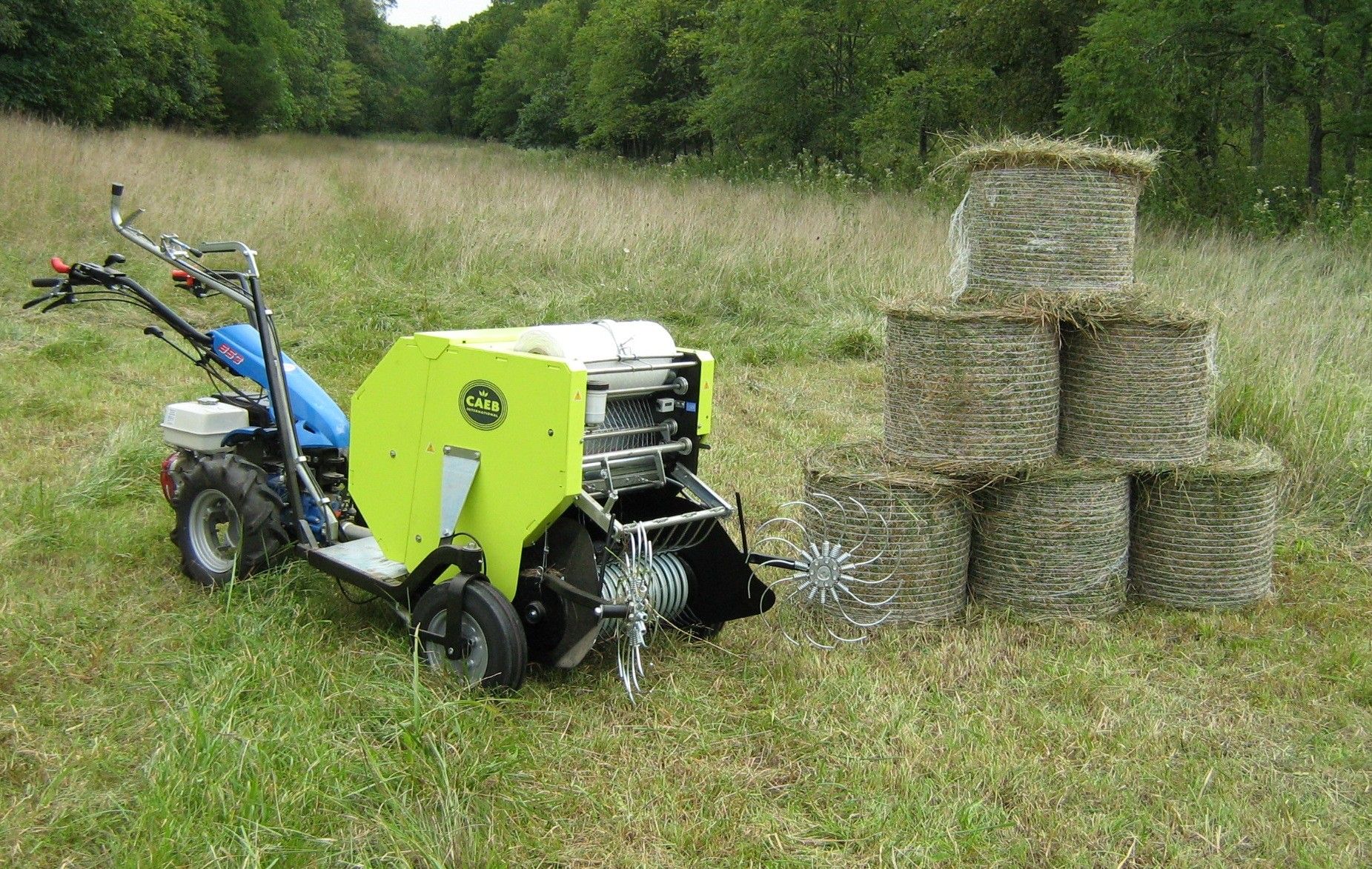 CAEB mountain press 550