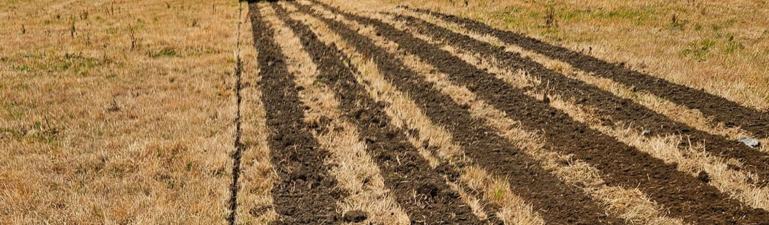 Nyfräst jord i raka rader på åker – jordfräsar för traktor, minitraktor och tvåhjulstraktor hos Hallant