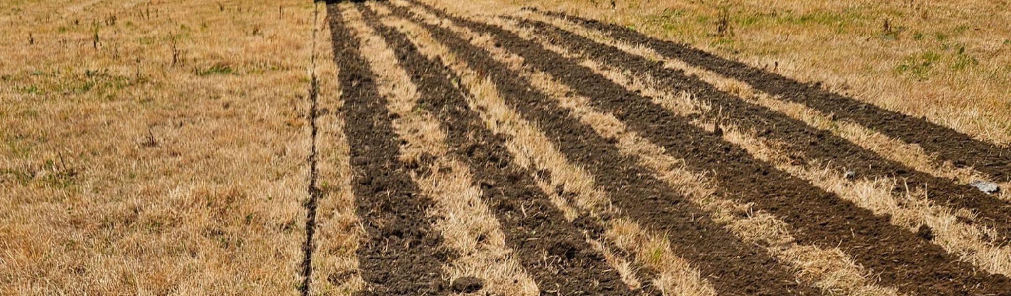 Nyfräst jord i raka rader på åker – jordfräsar för traktor, minitraktor och tvåhjulstraktor hos Hallant