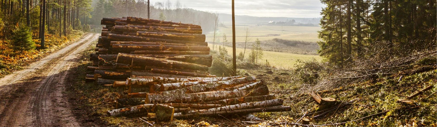 Timmerupplag vid skogsväg – EU-tillverkade skogsmaskiner av hög kvalitet hos Hallant för professionellt skogsbruk