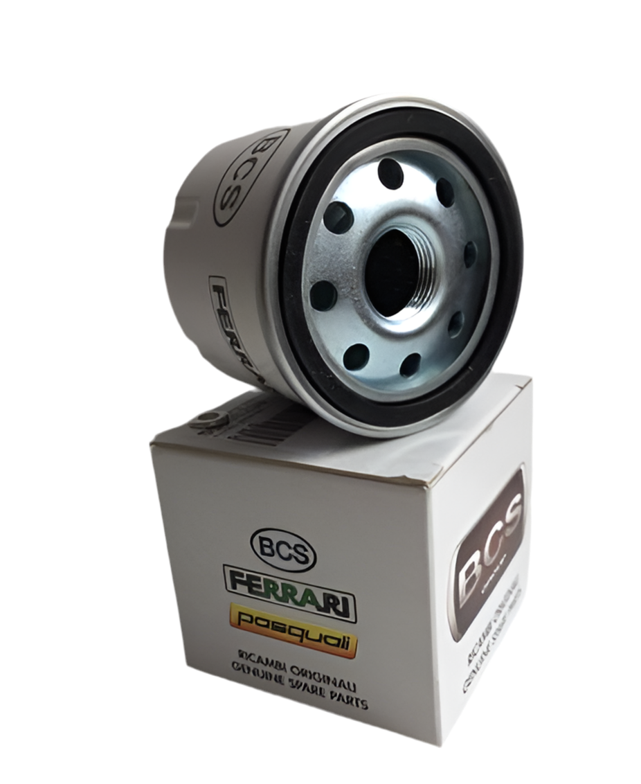 Original oljefilter för Ferrari PowerSafe och BCS tvåhjulstraktorer, artikelnummer 58056208.