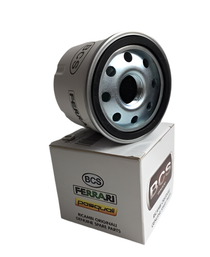 Original oljefilter för Ferrari PowerSafe och BCS tvåhjulstraktorer, artikelnummer 58056208.