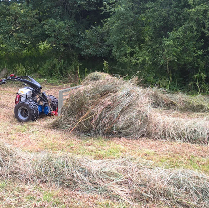Höräfsa Buck Rake 100 cm i bruk på fält